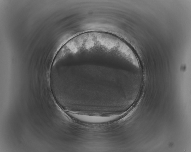 X0000097601529200803280939