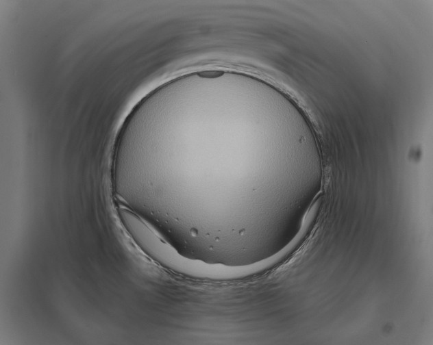 X0000097601530200803280939