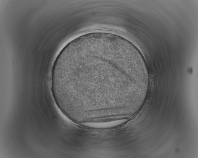 X0000097601531200803280939