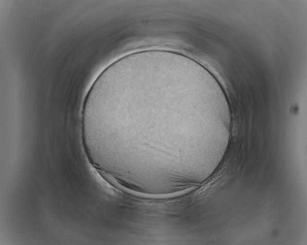 X0000097601532200803280939