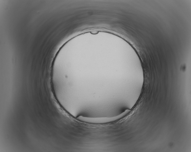 X0000097601534200803280939