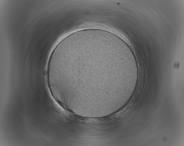 X0000097601536200803280939