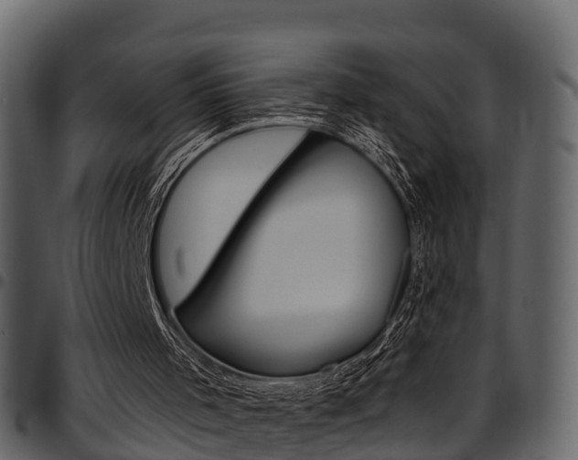 X0000097610001200802290807