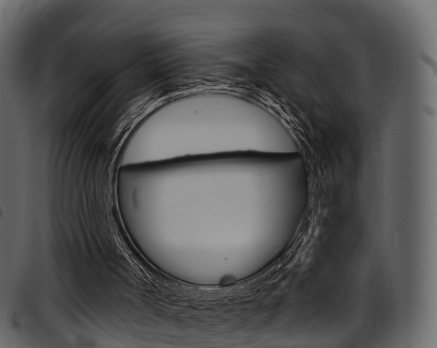 X0000097610002200802290807