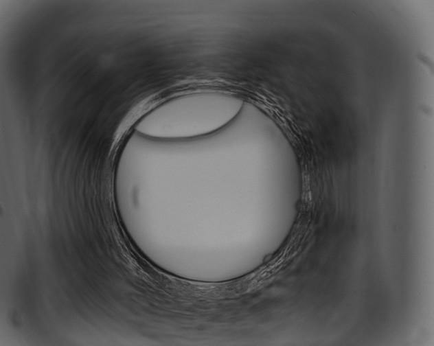X0000097610004200802290807