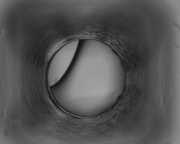 X0000097610005200802290807