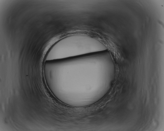 X0000097610006200802290807