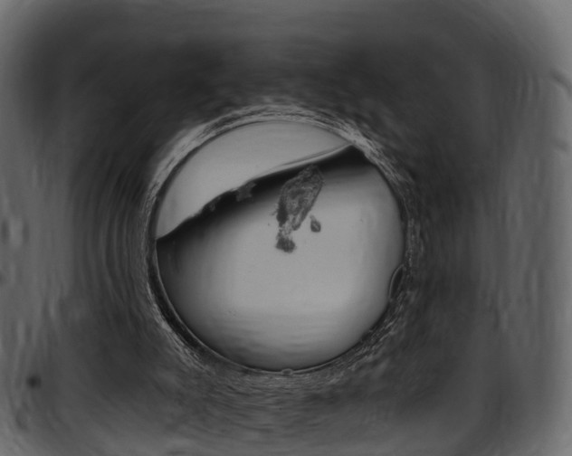 X0000097610007200802290807