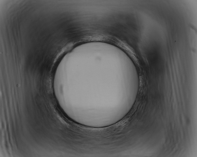 X0000097610012200802290807