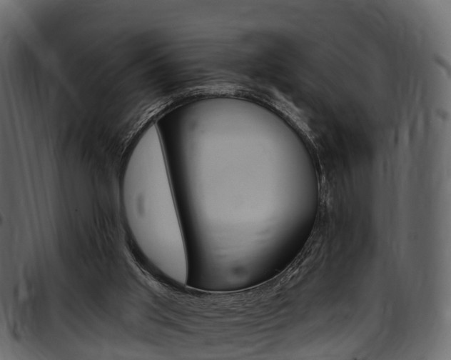 X0000097610013200802290807
