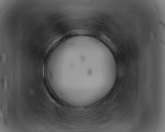X0000097610014200802290807