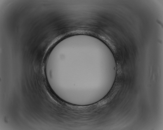 X0000097610016200802290807