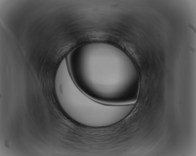 X0000097610017200802290807