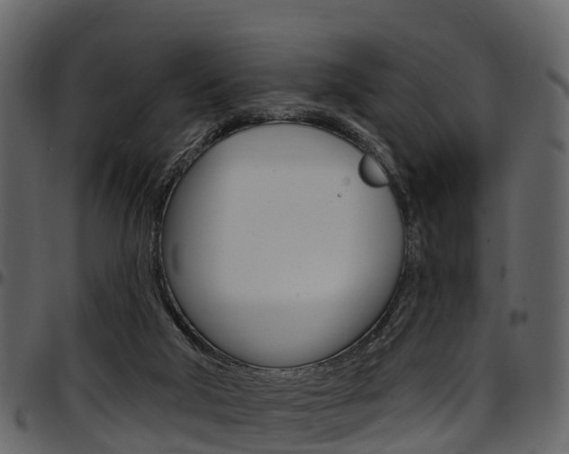X0000097610018200802290807