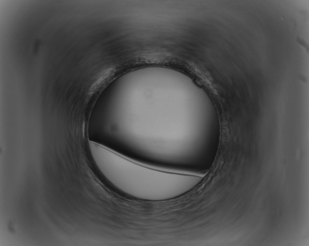 X0000097610019200802290807