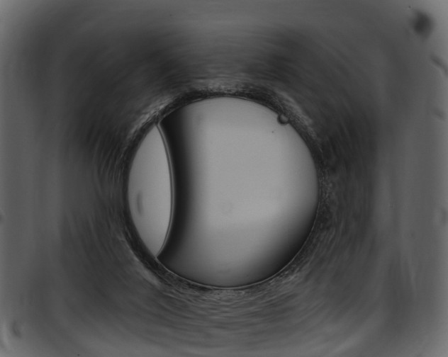 X0000097610020200802290807