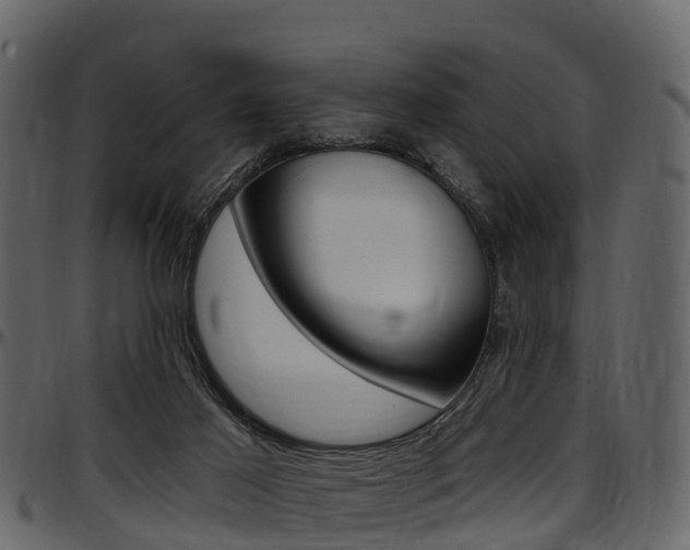 X0000097610021200802290807