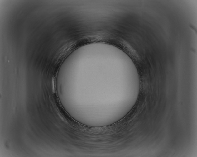 X0000097610022200802290807