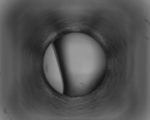 X0000097610023200802290807