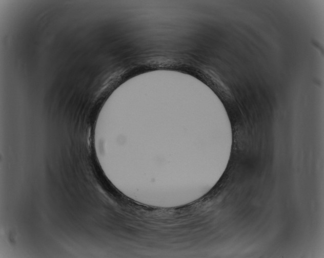 X0000097610024200802290807