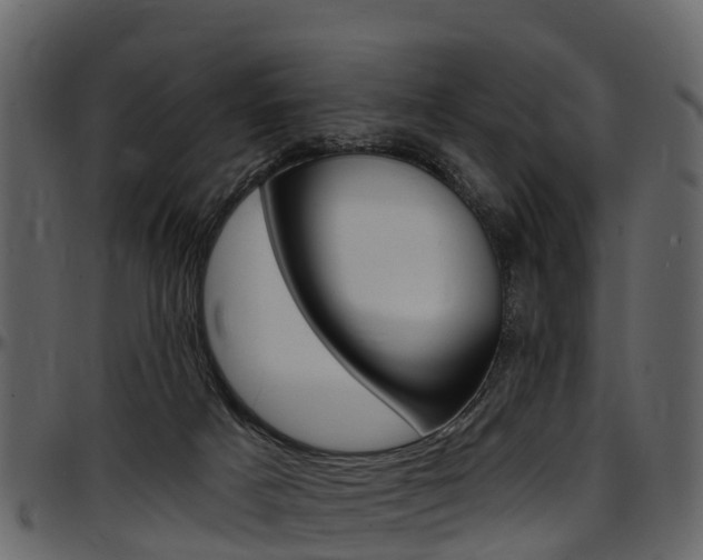 X0000097610025200802290807