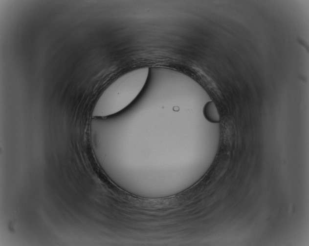 X0000097610026200802290807