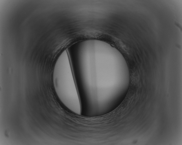 X0000097610027200802290807