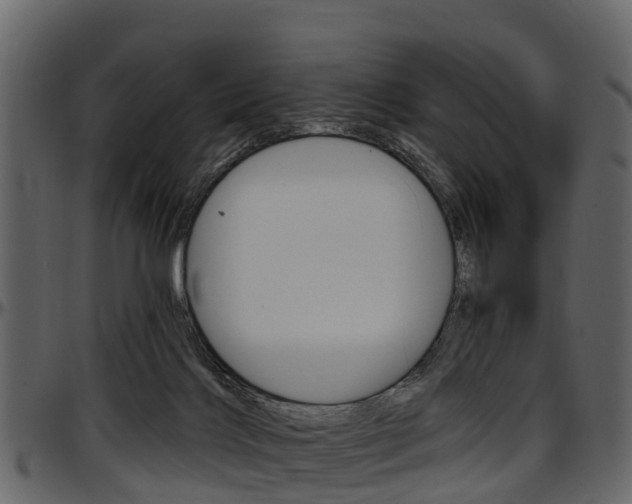 X0000097610028200802290807