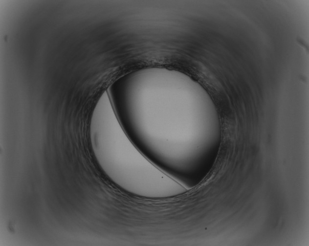 X0000097610029200802290807