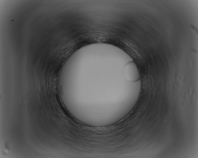X0000097610030200802290807