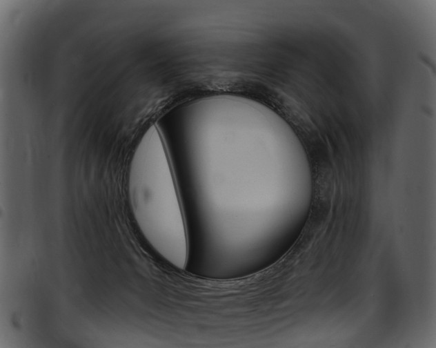 X0000097610031200802290806