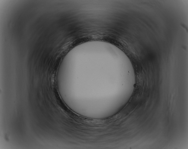 X0000097610032200802290806