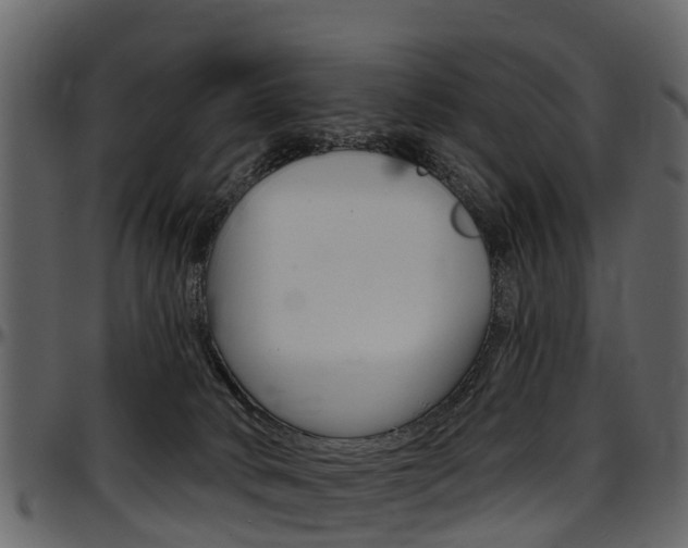 X0000097610034200802290806