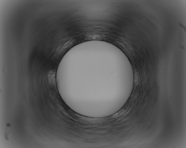 X0000097610036200802290806