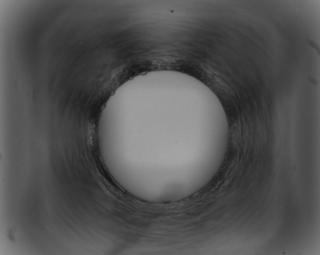 X0000097610038200802290806