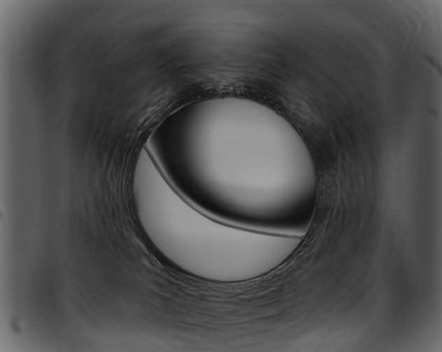 X0000097610039200802290806