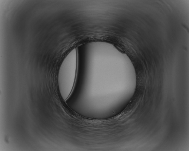 X0000097610040200802290806
