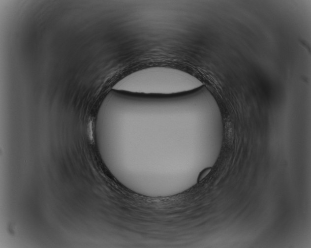 X0000097610042200802290806