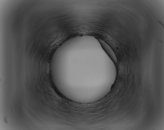 X0000097610043200802290806