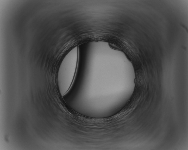 X0000097610044200802290806
