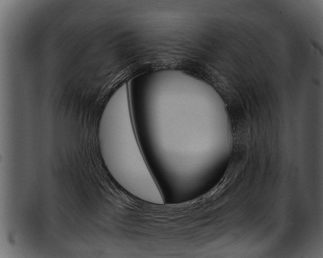 X0000097610045200802290806