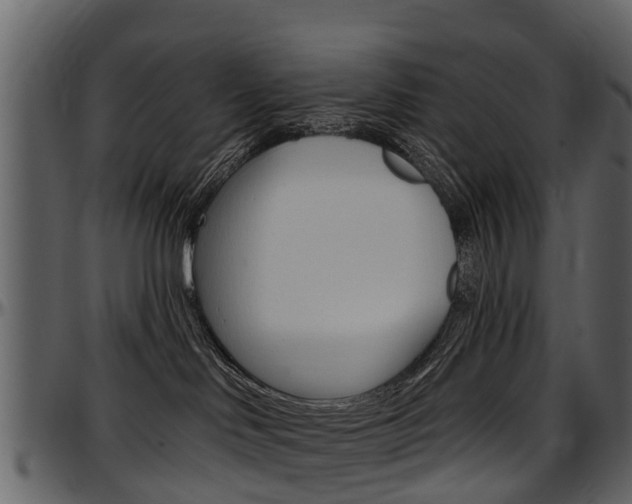 X0000097610046200802290806