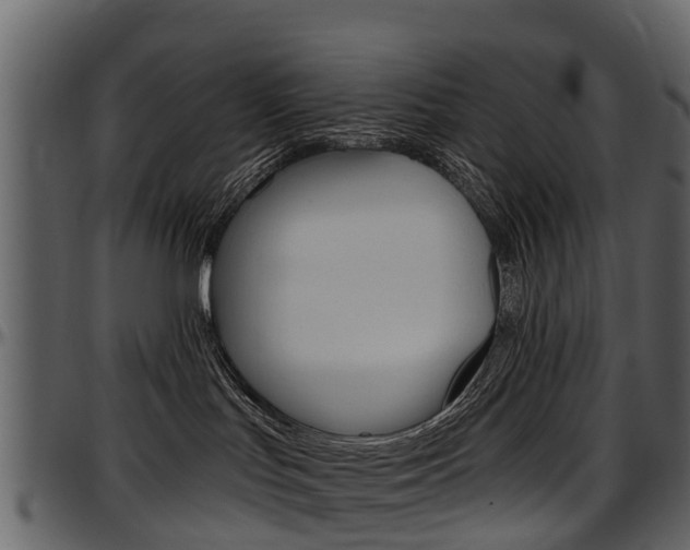 X0000097610047200802290806