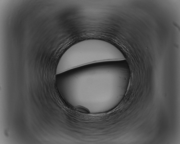 X0000097610048200802290806