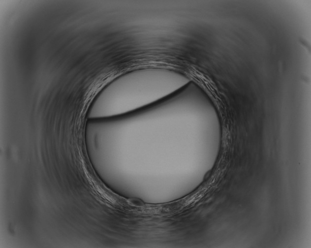 X0000097610049200802290806