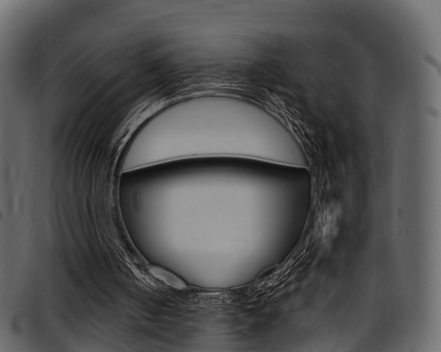 X0000097610050200802290806