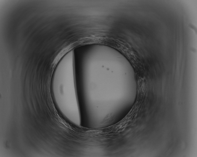 X0000097610051200802290806