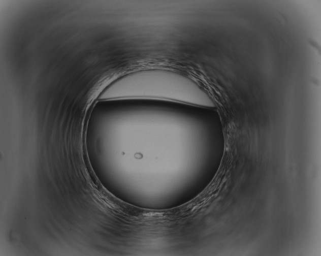 X0000097610052200802290806