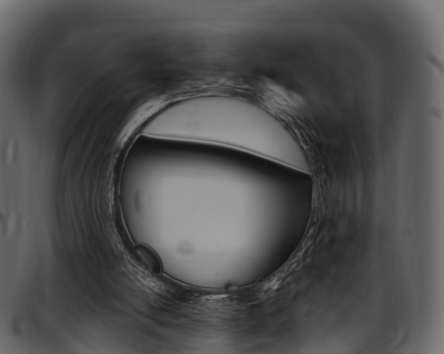 X0000097610054200802290806