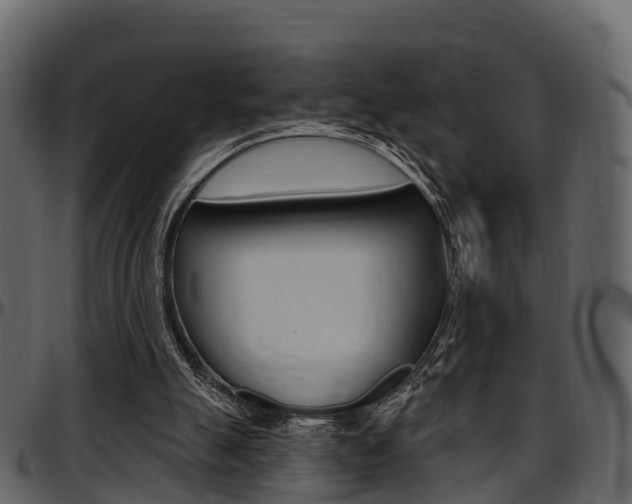 X0000097610055200802290806